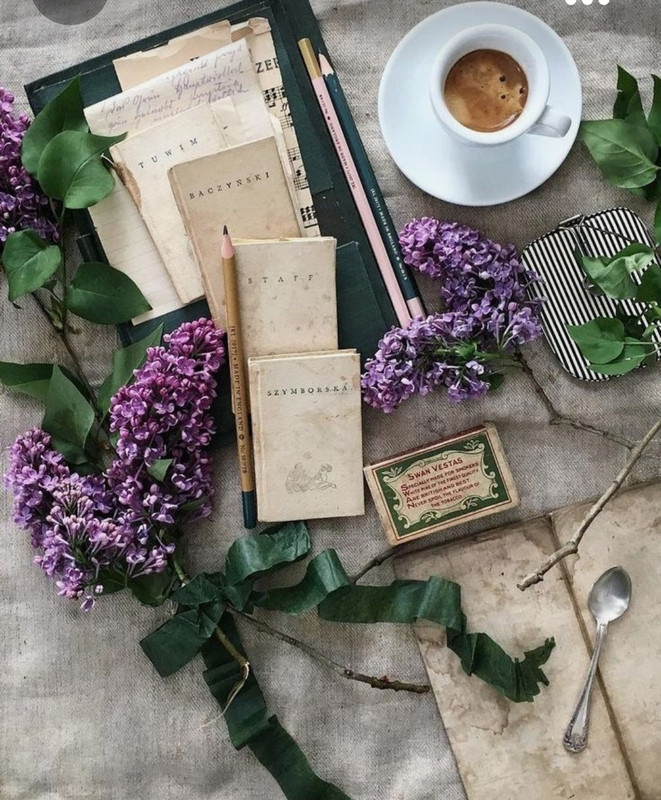 Screenshot_20231015_215323_Pinterest