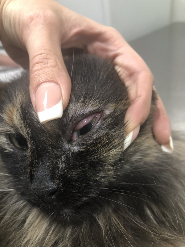 156CCFCD-02D0-46DF-8D11-64C8E7383F70