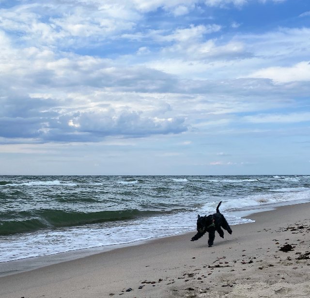 21-A68039-885-A-425-D-99-EE-96-B86-FB895