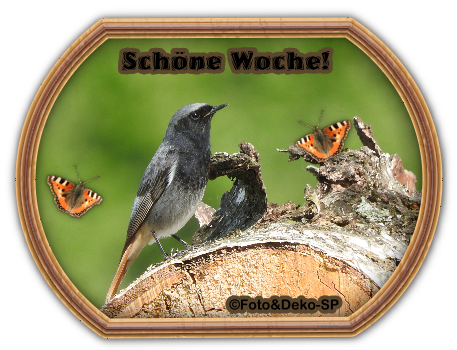 An den Beitrag angehängtes Bild: https://i.postimg.cc/GmJd2WNr/gbls9i.png