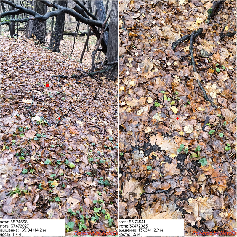 Photo Collage 1761657102463