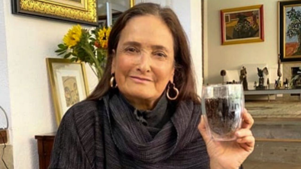 Patricia Armendáriz habla de mansiones del hijo de AMLO y la 4T