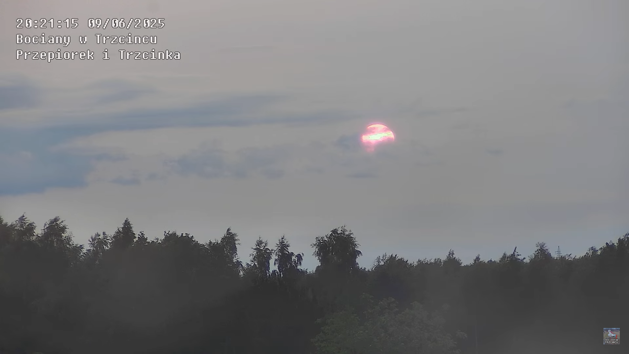 09062025bociany42