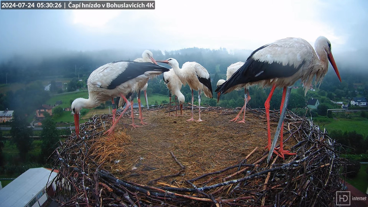 Tiešraidē no uzņēmuma KARA stārķa skursteņa Bohuslavicē pie Trutnovas 7-57-34 screenshot