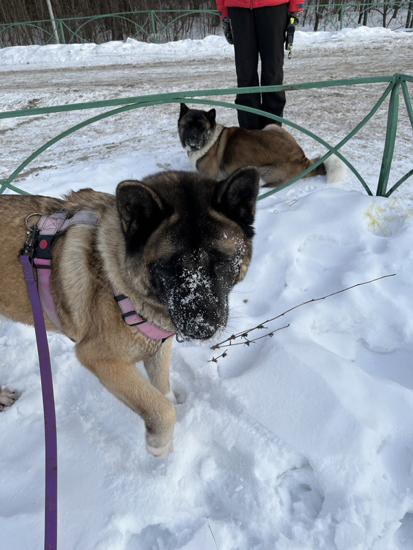 E949DD8C-7779-47B9-866A-96AF3AB473D0