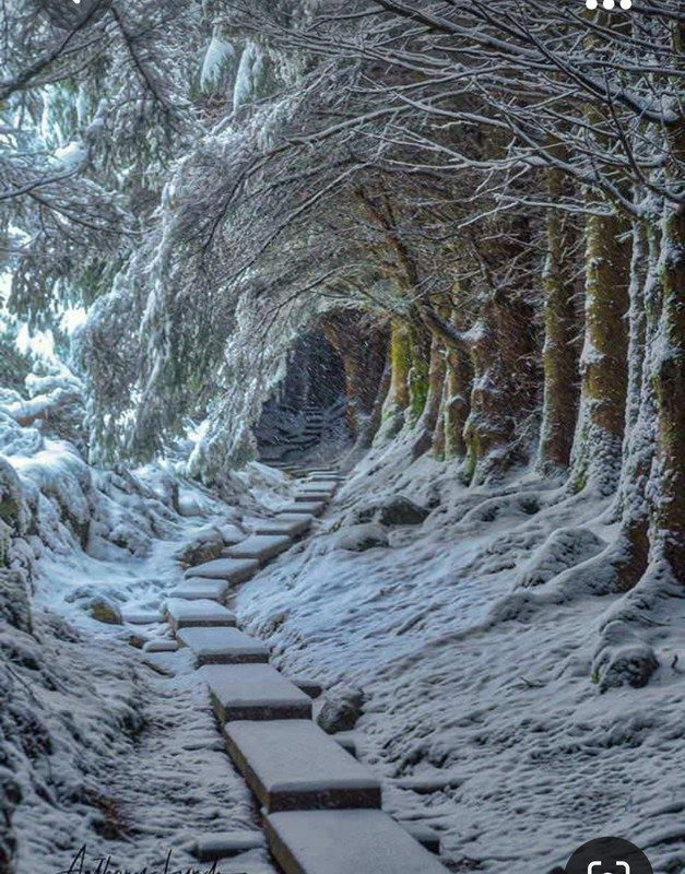 Screenshot_20231009_232418_Pinterest