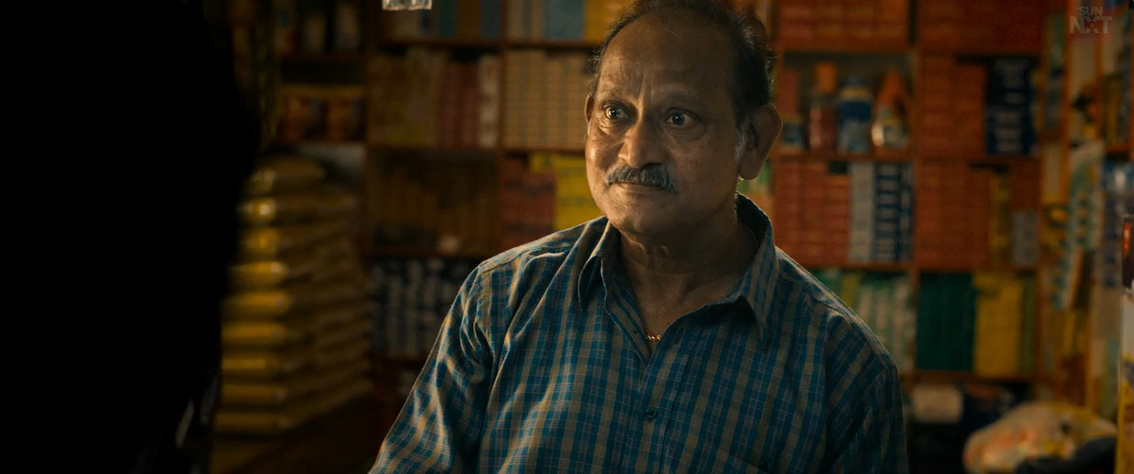 Show Time 2025 WebRip [Hindi + Tamil + Telugu + Malayalam + Kannada] 480p 720p ESub Screenshot