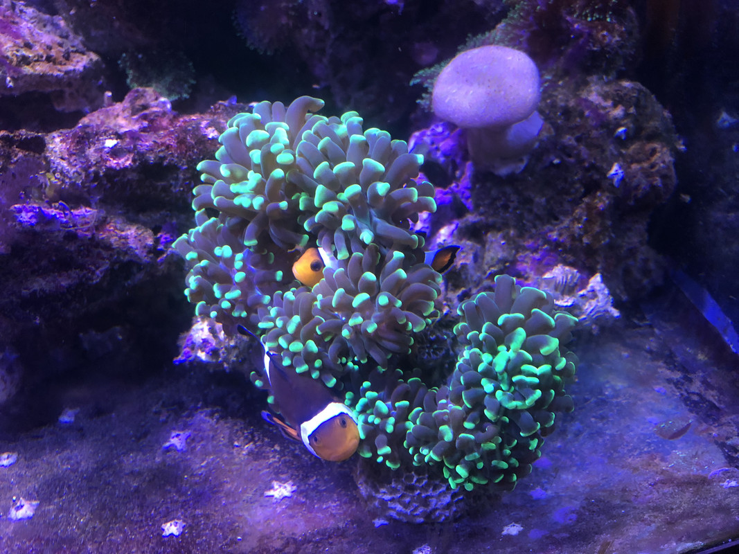 E9991E0F-65FC-4925-B41A-71C4B50705B5