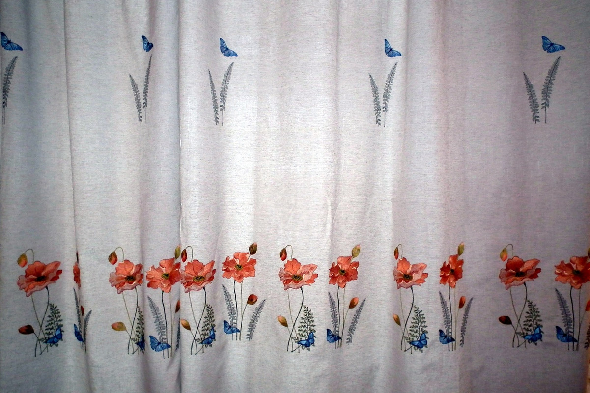 DSCF68301J_8922731_25044239