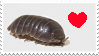 roly poly