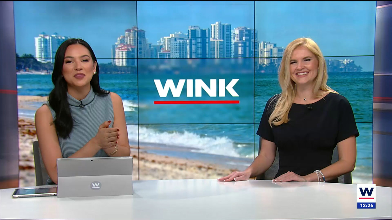01.05 - 17.00.01 - WINK Noon News. Local news, sports and weather. (n....ts_snapshot_33.03.384