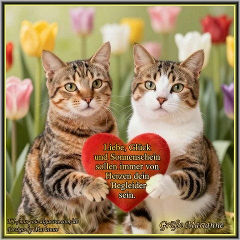An den Beitrag angehängtes Bild: https://i.postimg.cc/GmKq7y26/Zwei-Katzen-mit-Herz.jpg