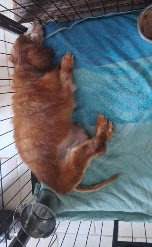 [Image: 20250316-103416.jpg]