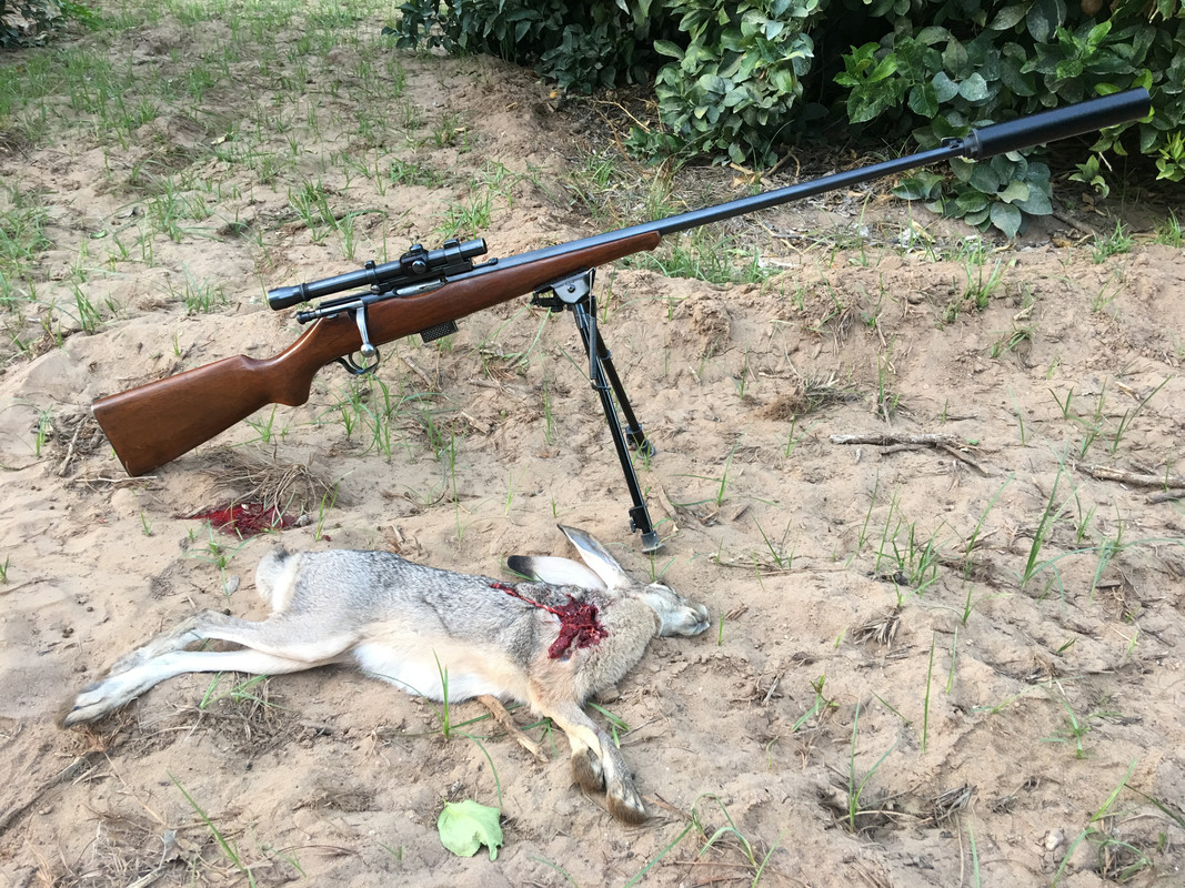 53BDBEE9-B3F7-4AA7-B26A-50F5922714D6