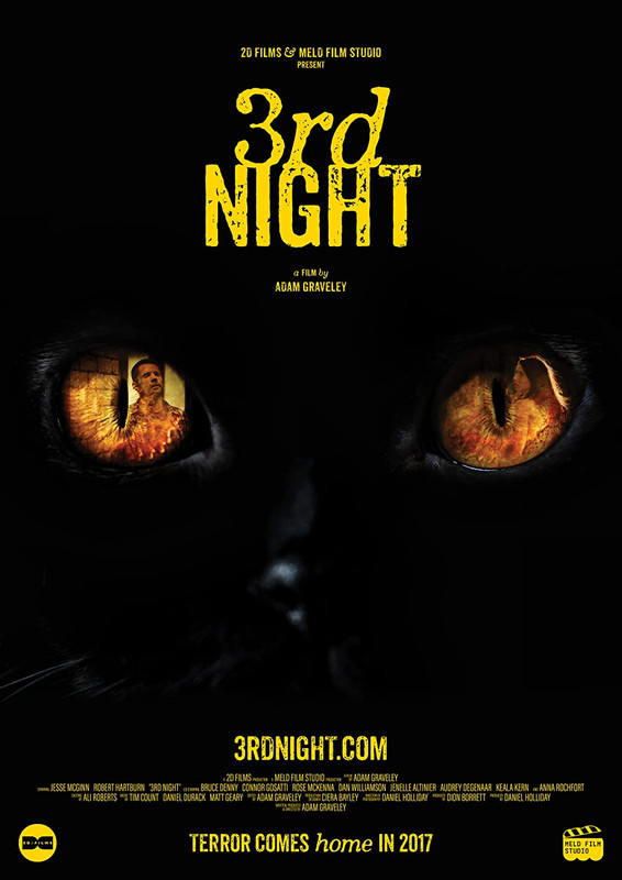 Download 3rd Night 2017 BluRay UNCUT Dual Audio Hindi ORG 720p | 480p [250MB]