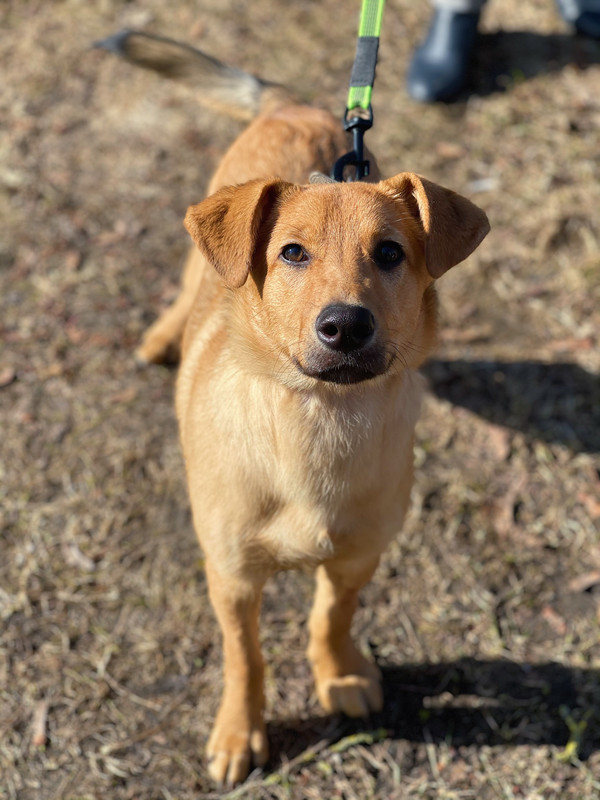 712AF058-7BF4-4B79-955C-E2C72843110B