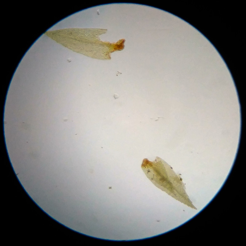 IMG 20250617 114105 HDR