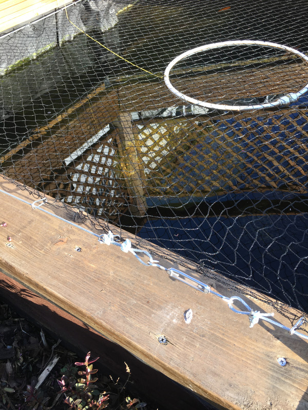 B2D02CA0-B903-42B4-8C49-99F48BDBF98F