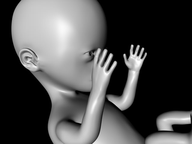fetus.jpg