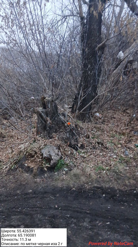 photo 3 2025 12 06 11 27 48