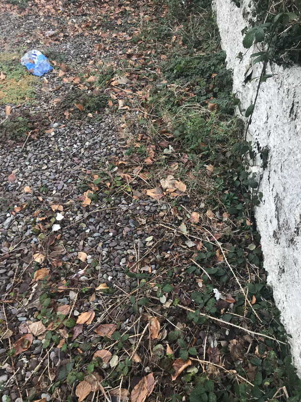 947C759F-5C76-4FC5-B320-45064C2ED907