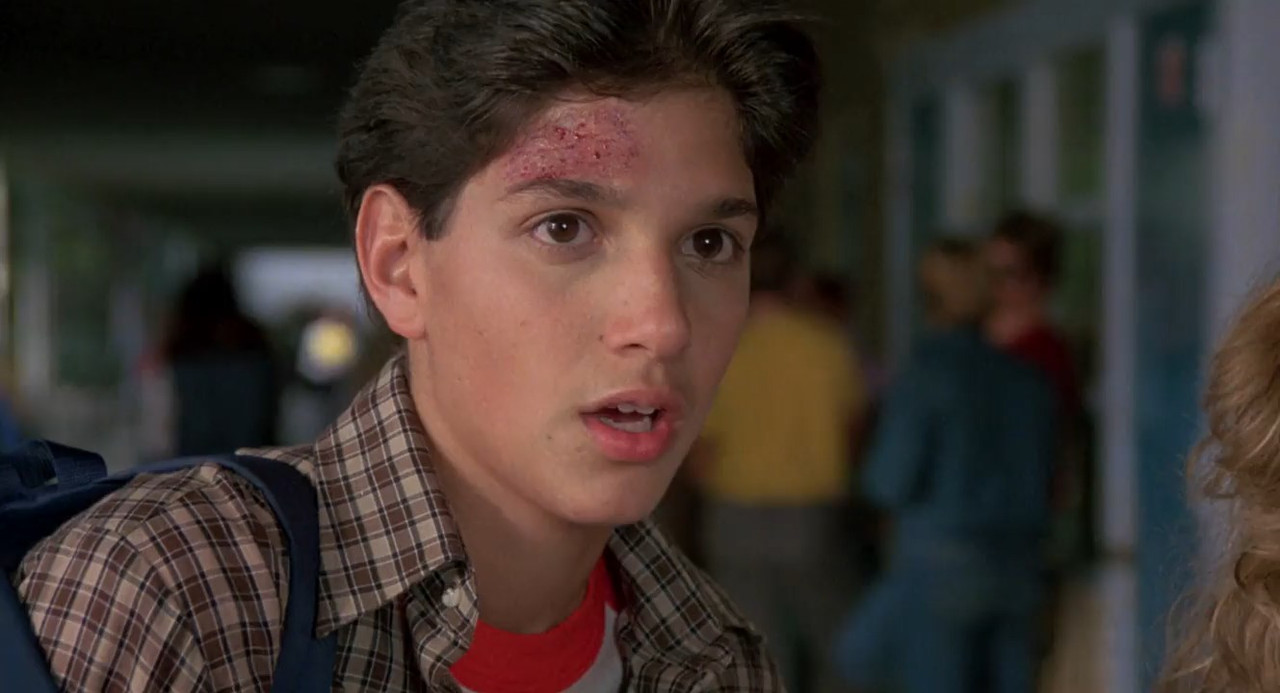 The Karate Kid 1984 BluRay [Hindi + Tamil + Telugu + English] 480p, 720p ESub Screenshot