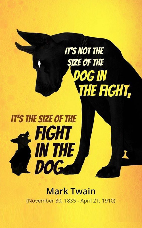 a3e2d9fd2ff0fad115ff46176f97d47d