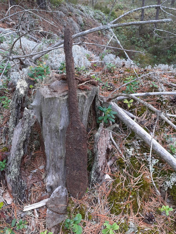 20210911_115013 – kopio