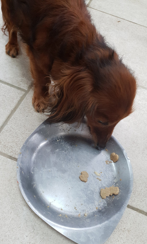 [Image: 20220112-134151.jpg]