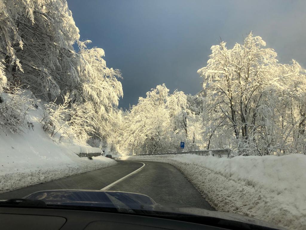 5D0A9B1B-7E90-44F7-B045-495F543D2209