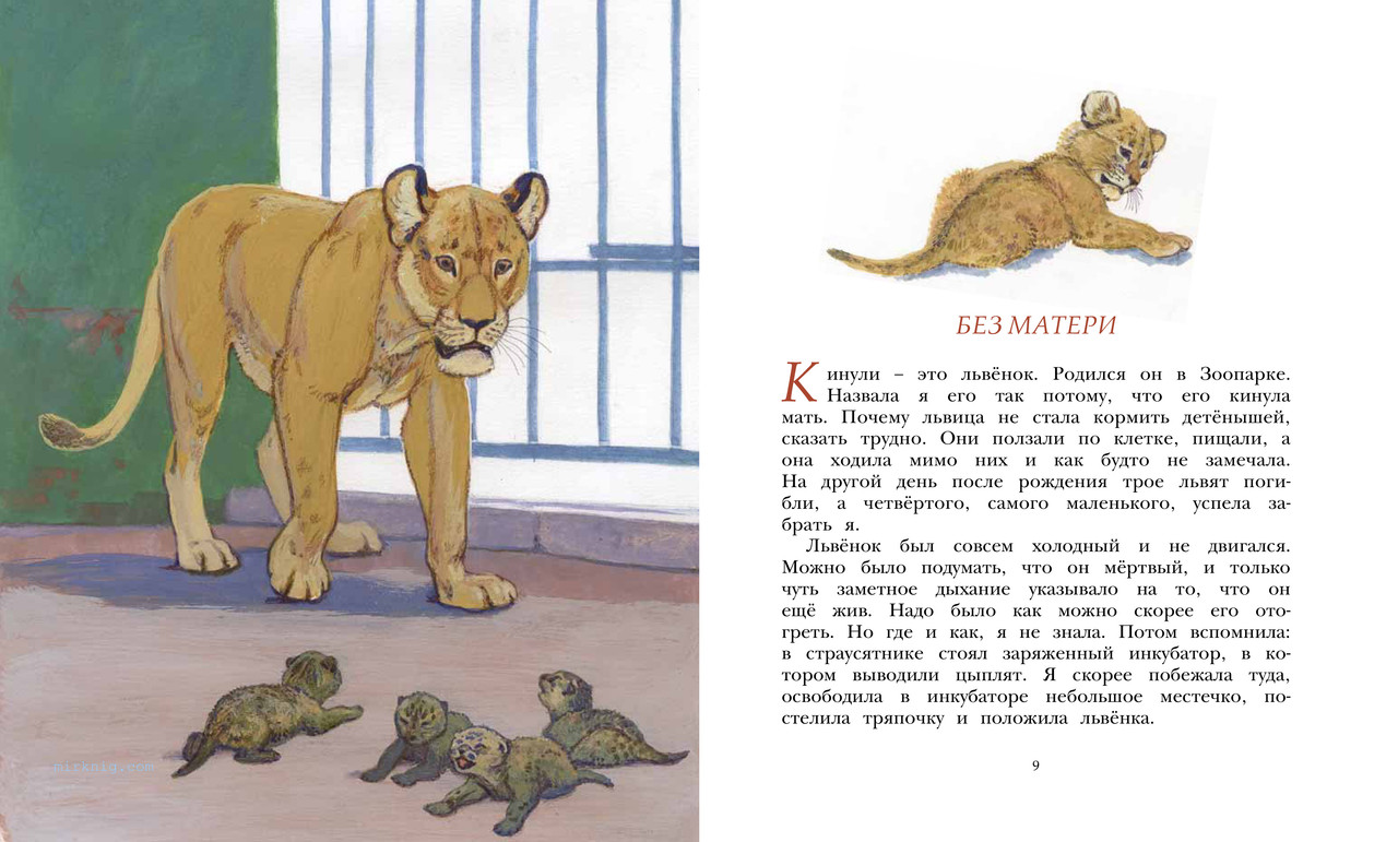 Купить Книгу Чаплиной Читай Город Иваново