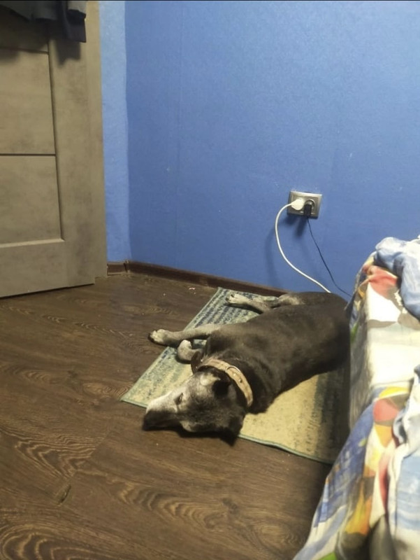 154F5F86-97B3-4959-94FF-62202E4F9848