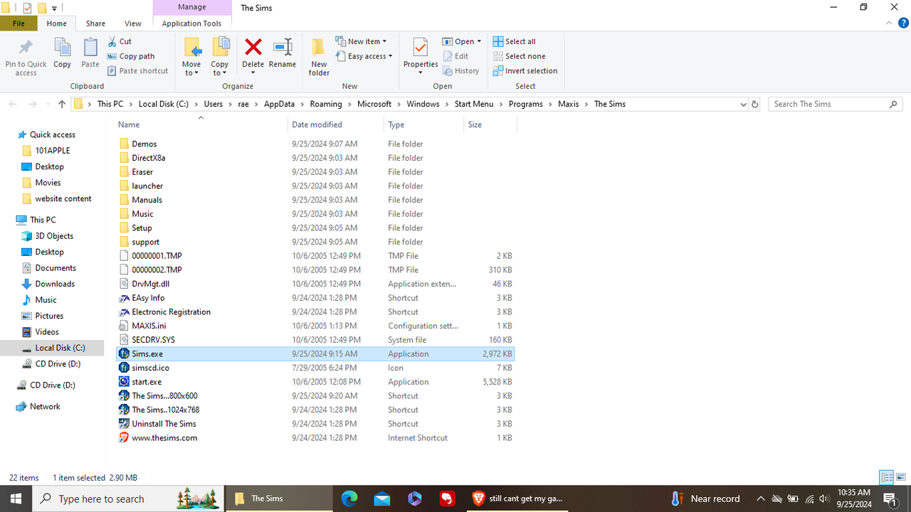 screenshot sims folder