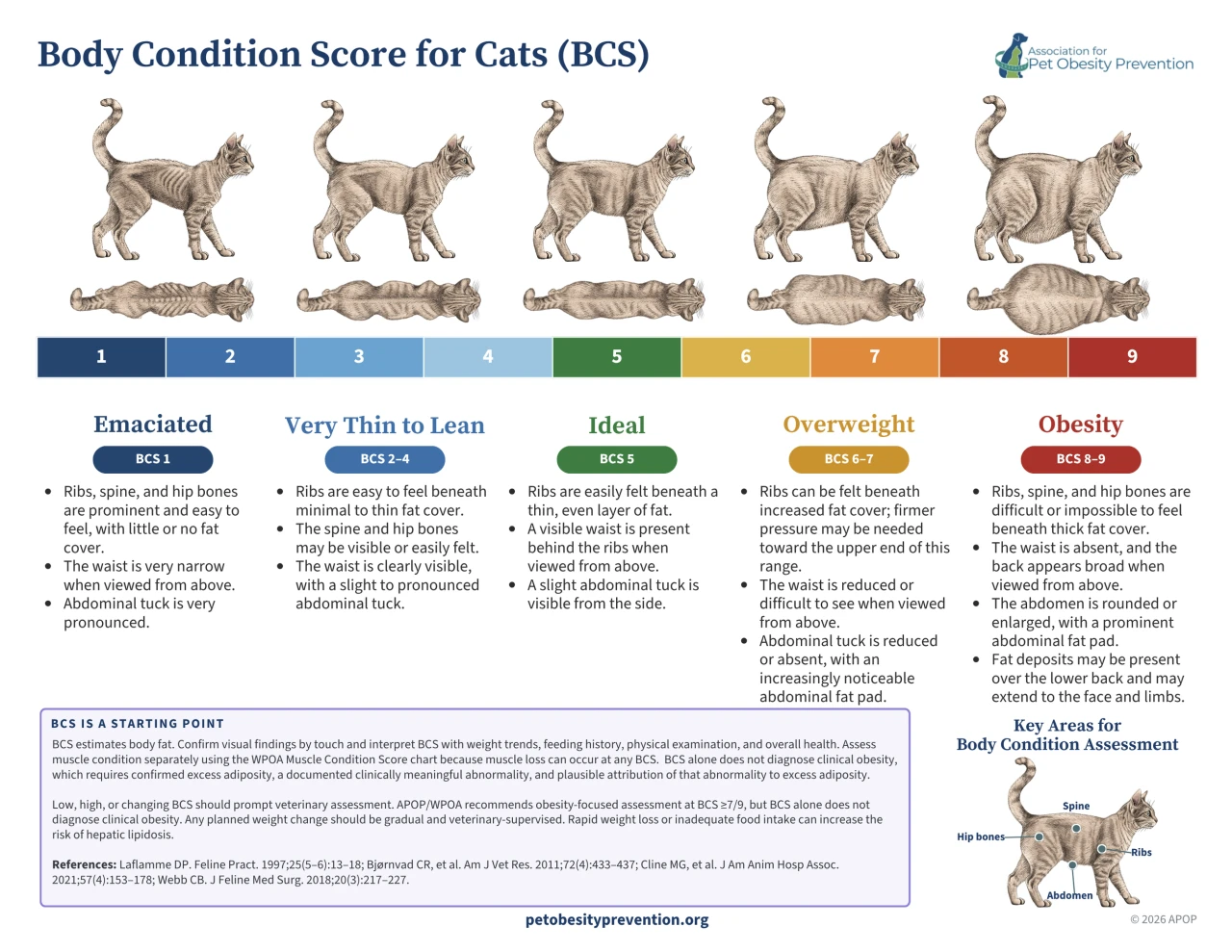 Escala de Condición Corporal para Gatos