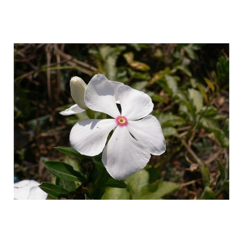 photo 3 2026 01 16 22 16 38