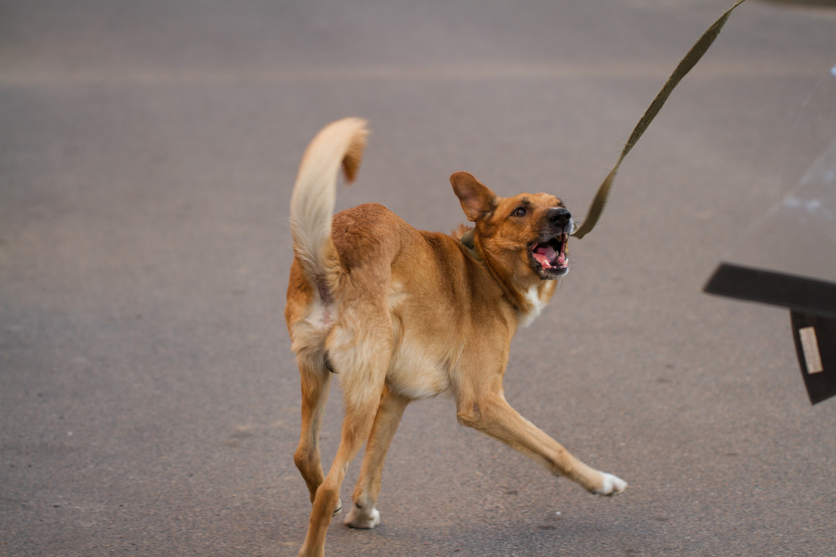 без имени-5394