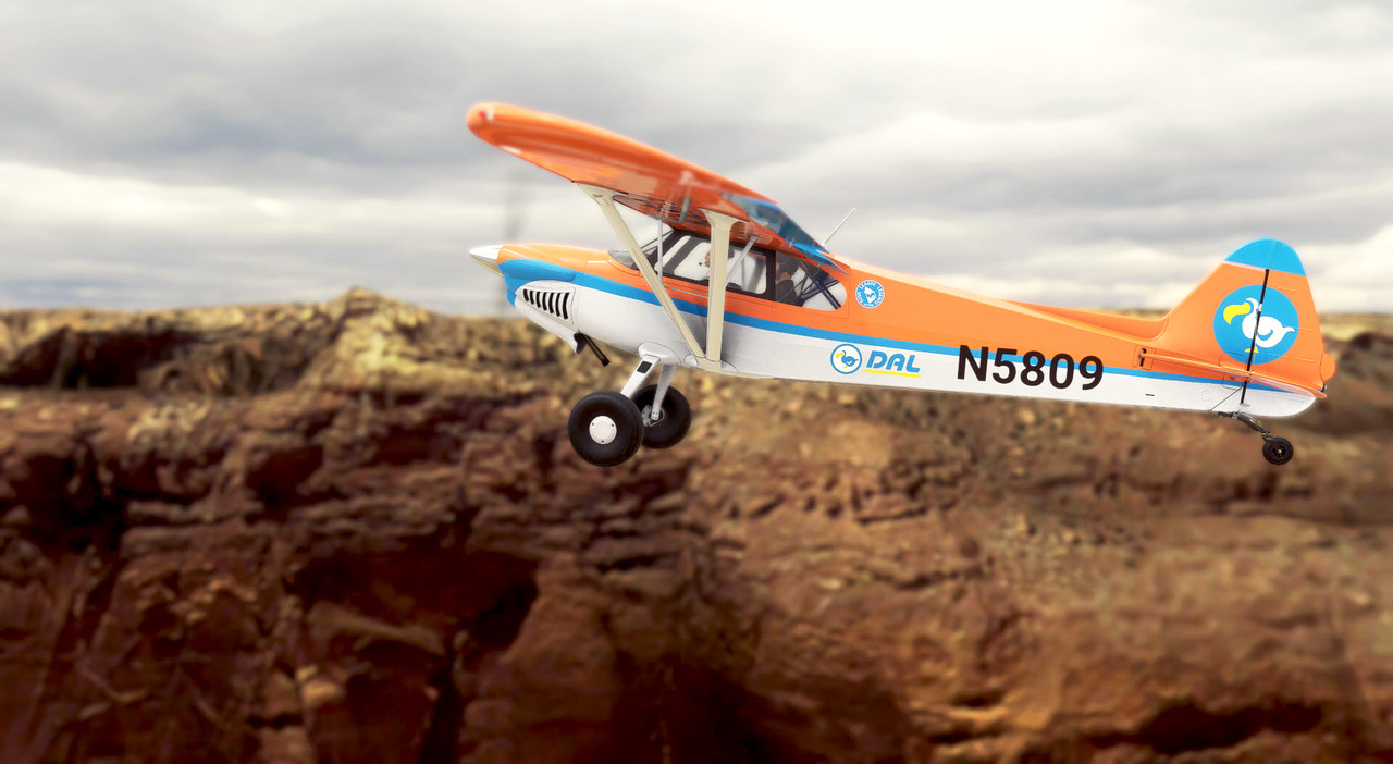 c393.jpg