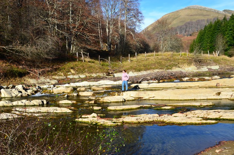 SELVA DE IRATI-14-11-2015-NAVARRA - Paseando por España-1991/2024 (74)