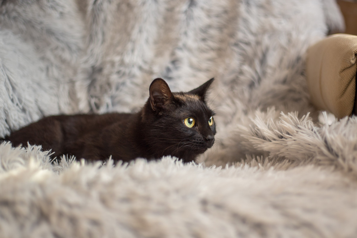 image-12-03-22-08-41-2