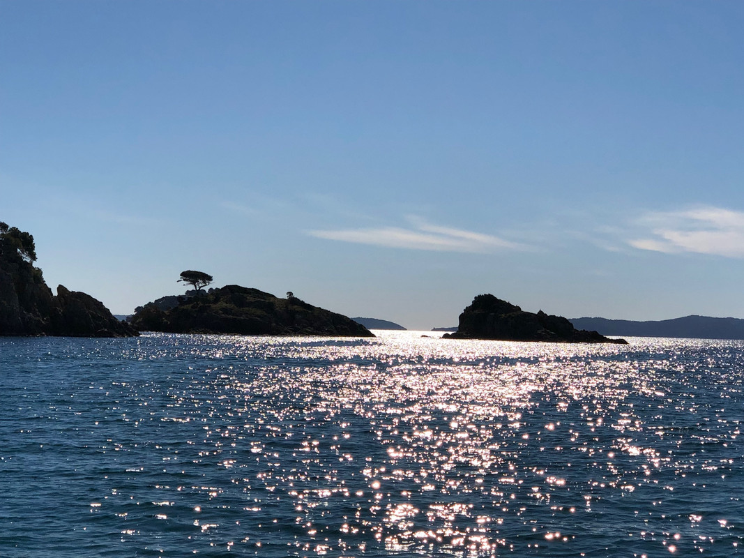 AB3C6678-E5E4-4457-86F2-8B22A5015617