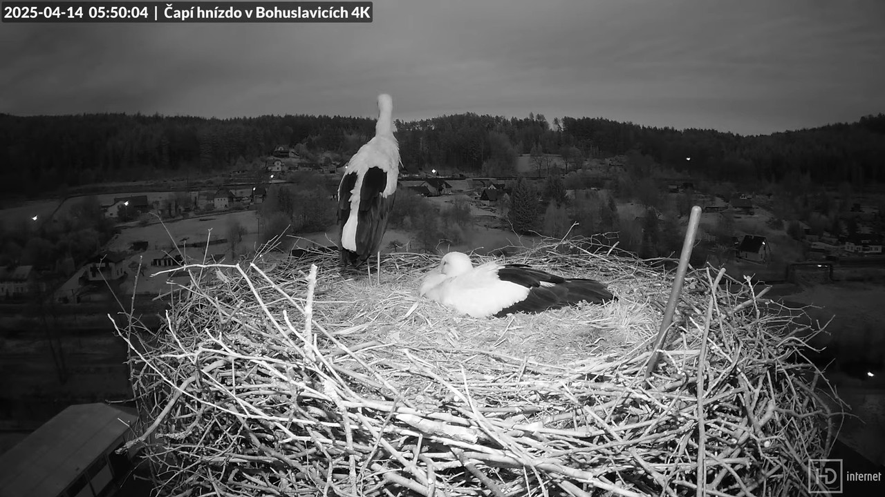 Živě z čapího komína firmy KARA v Bohuslavicích u Trutnova 8-57-19 screenshot