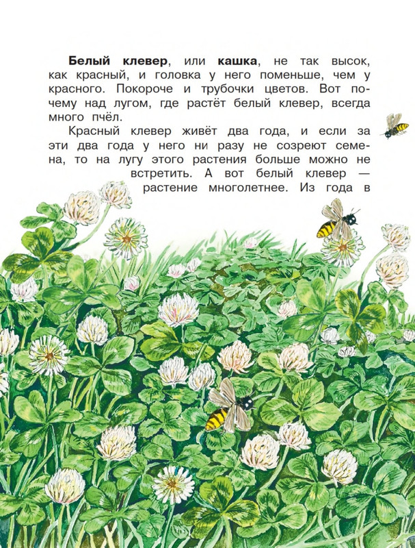 Onegov-Anatolij-Pochemu-kukushka-slozki-lot-page-0027