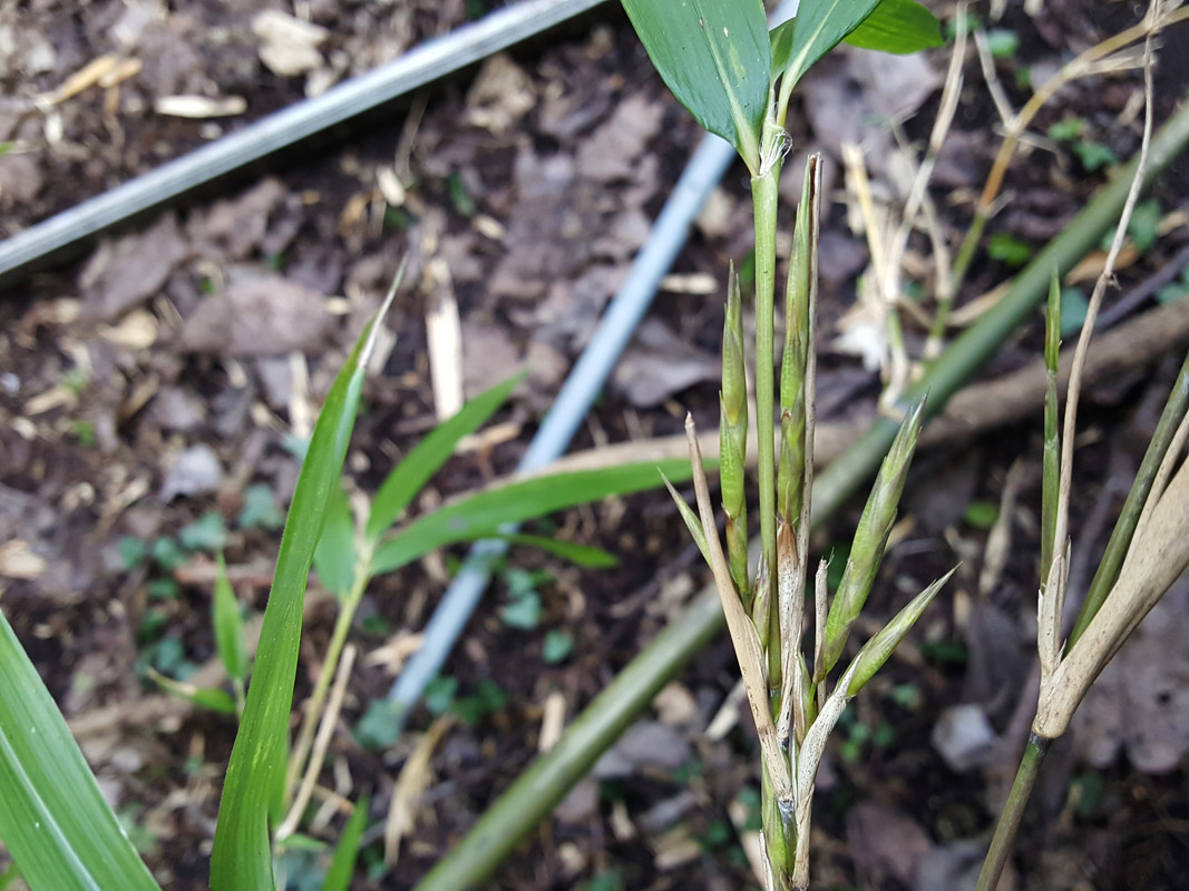 23-02-16_02Parc Mery