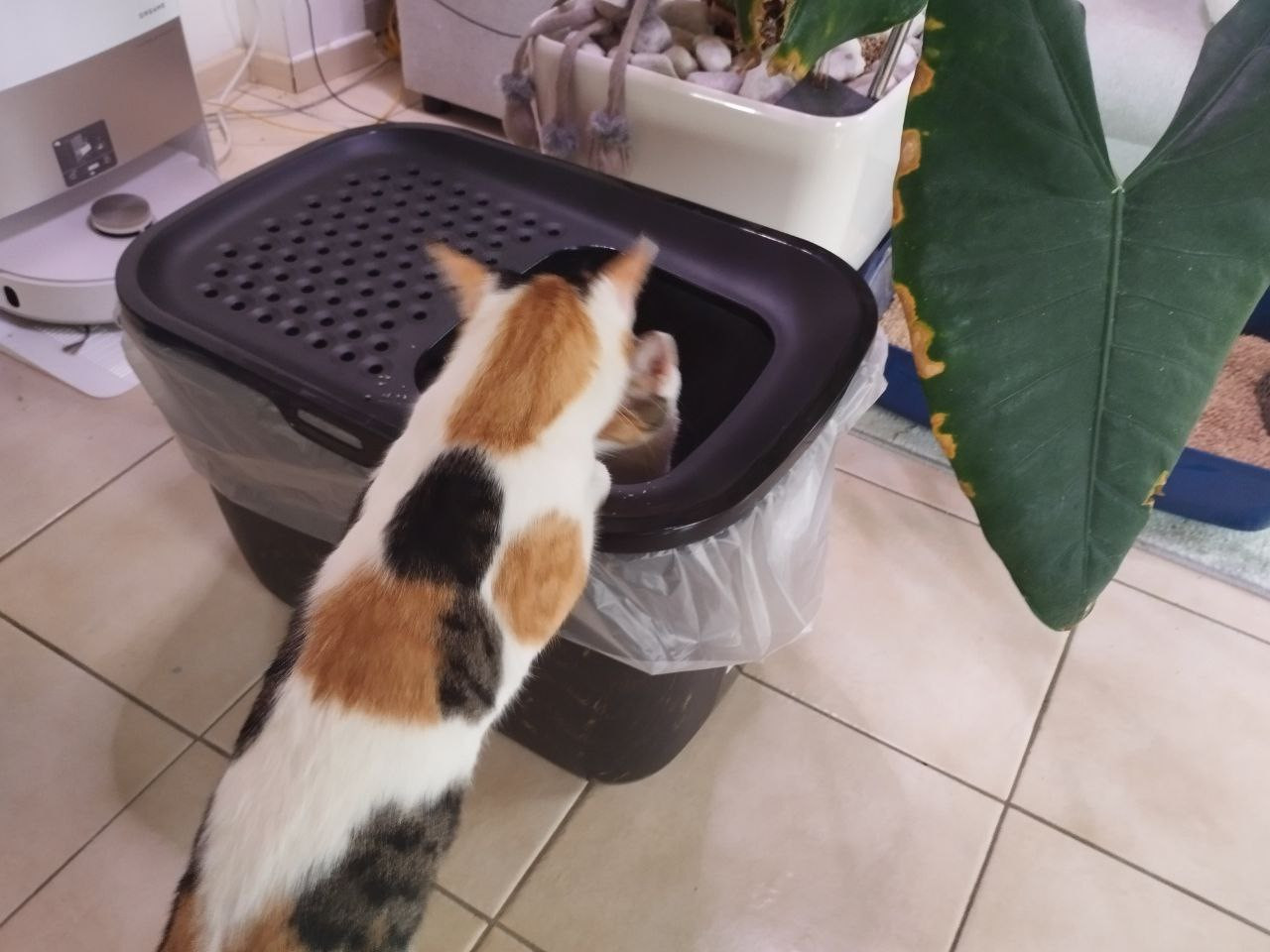 photo 2026 02 06 17 31 44