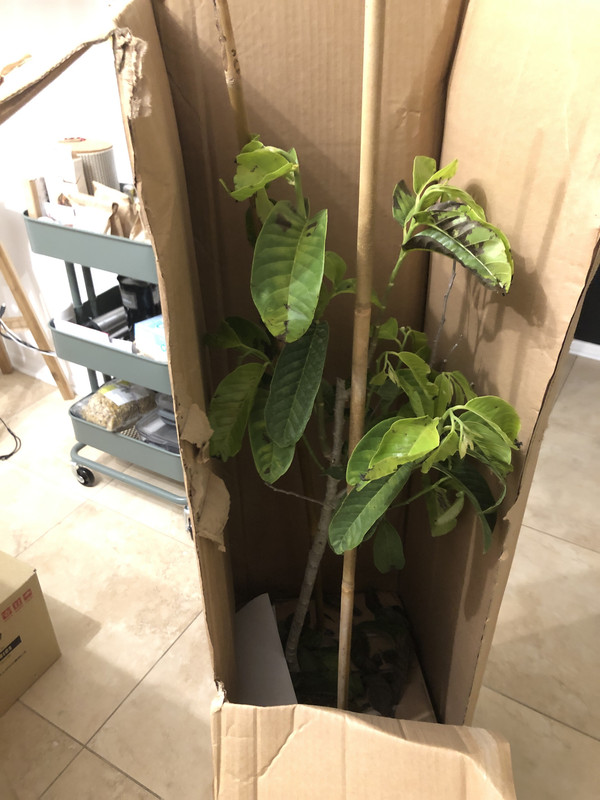 928B9F04-7541-4514-86CB-640554B60BDA