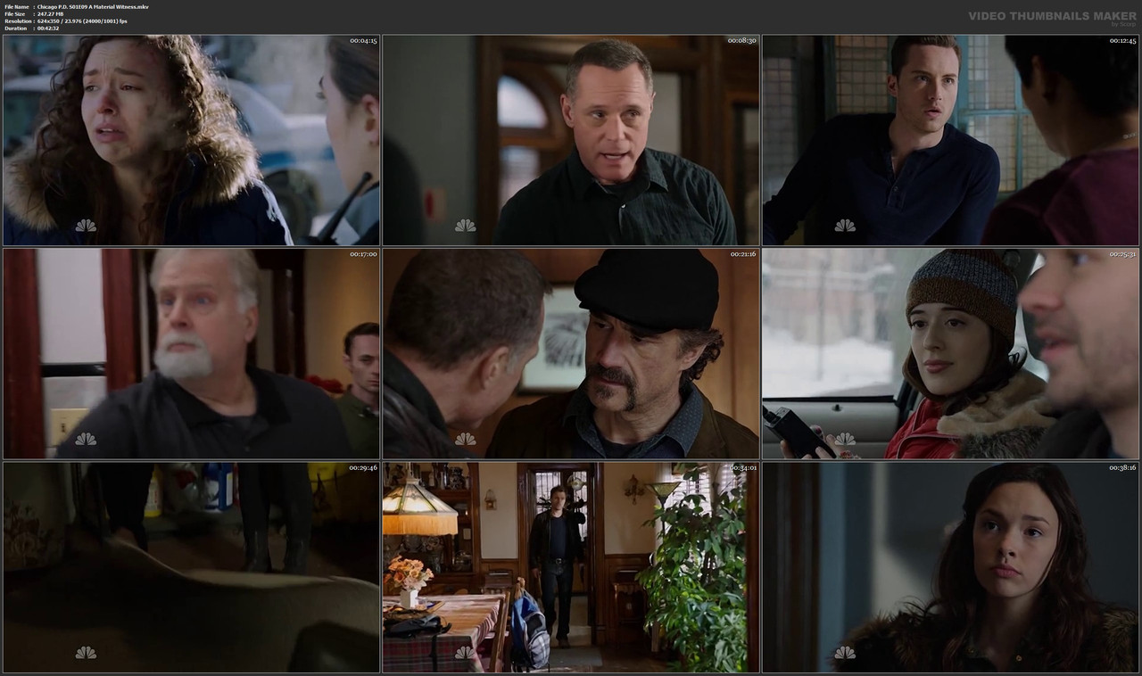 Chicago P.D. S01E09 A Material Witness.mkv