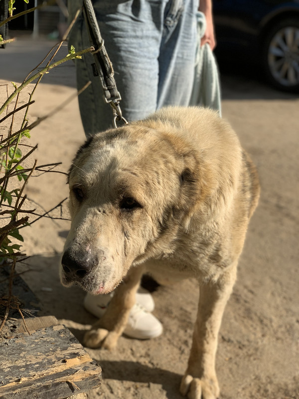 7B0FAECD-312A-42C9-89C5-EAEF37057910