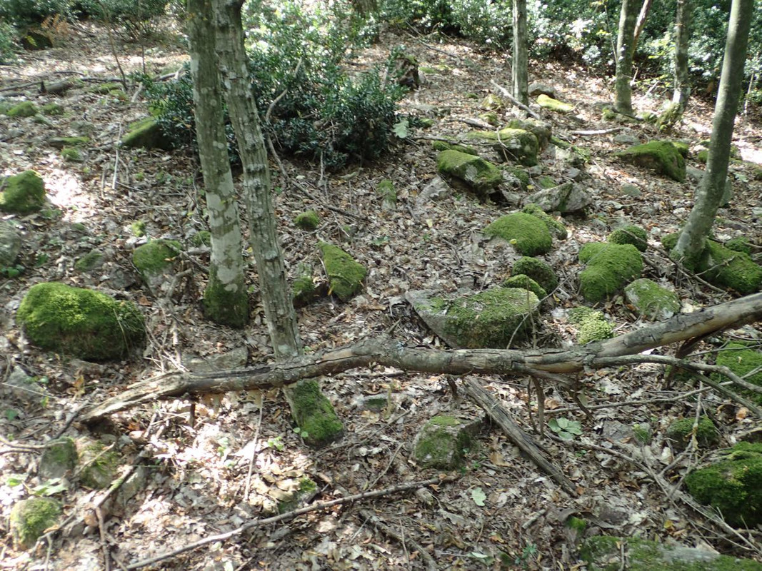 RUTIZAM SRBIJA - DragoševacJerinin grad (jagodinski) (7)