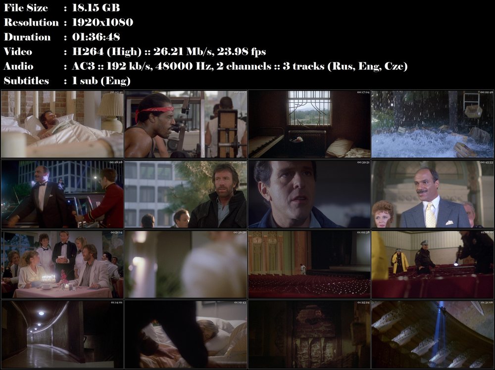 Sám proti teroru / Hero and the Terror (1988)