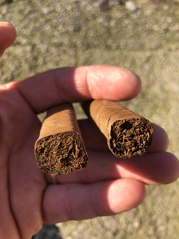 7EE53DF8-6CDD-4443-A15F-5046EC7CBC62